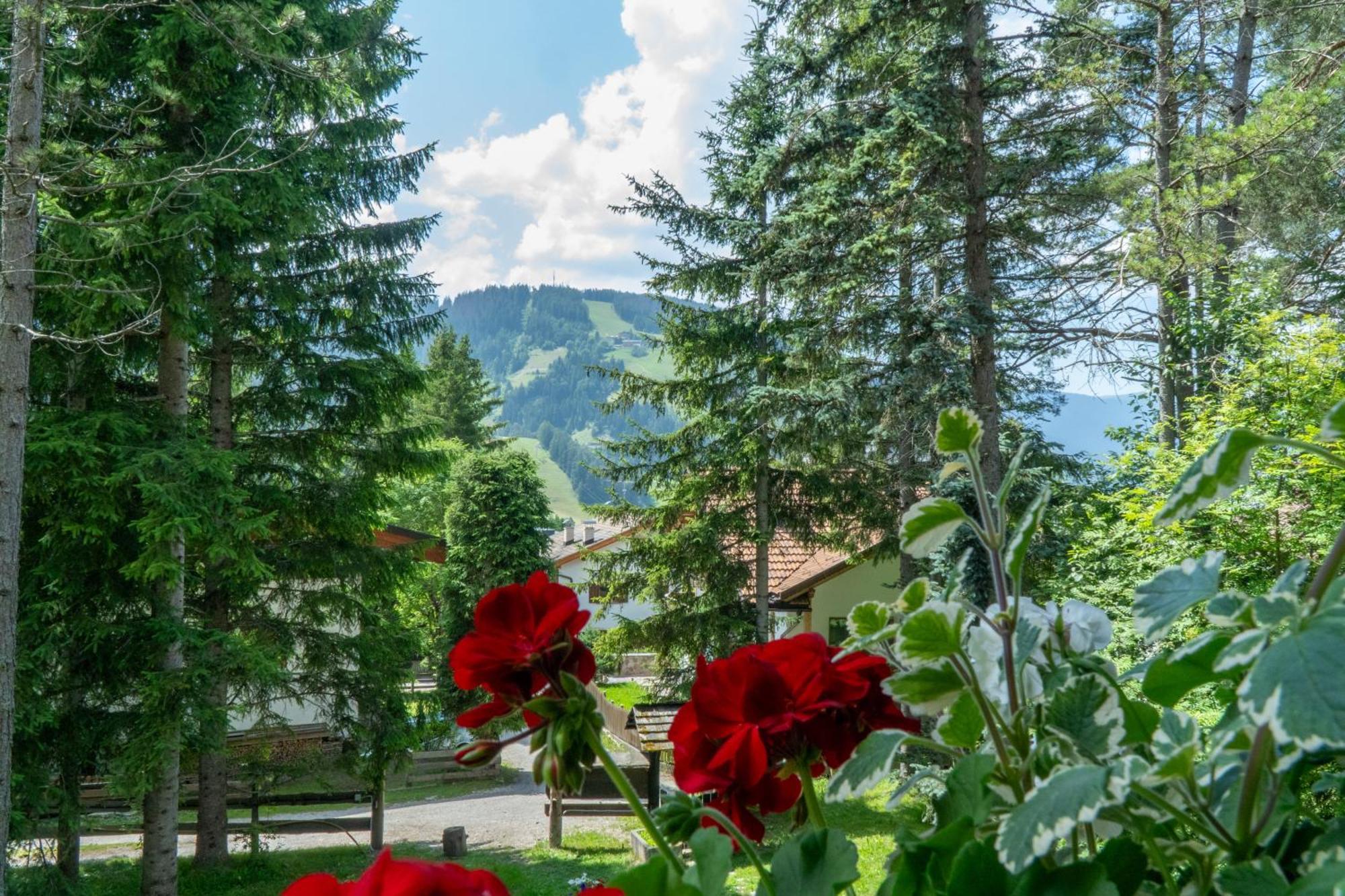 B&B Villa La Bercia San Vigilio Di Marebbe Eksteriør bilde