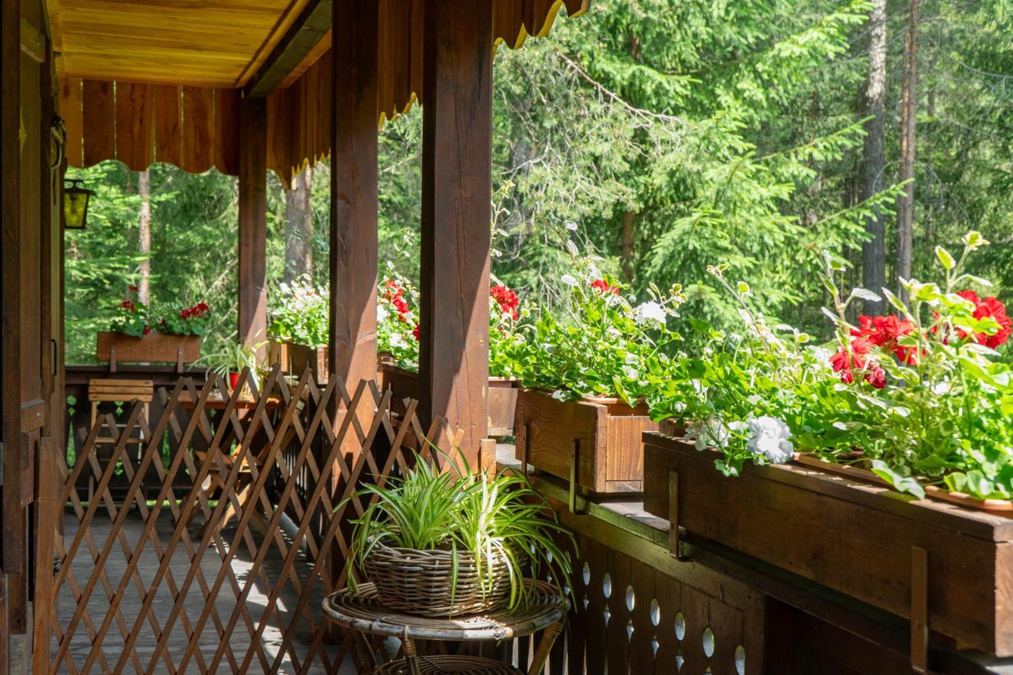 B&B Villa La Bercia San Vigilio Di Marebbe Eksteriør bilde