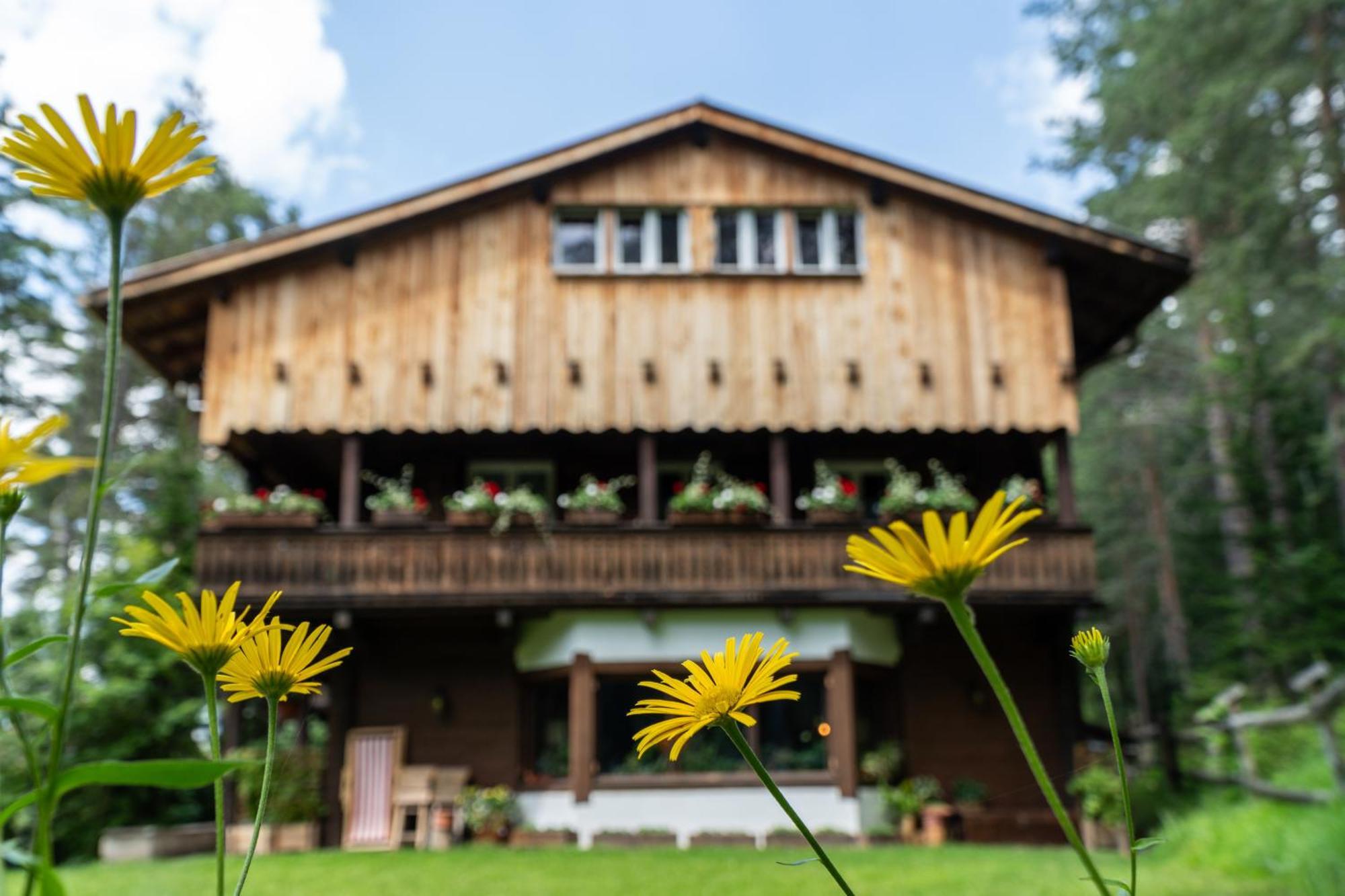 B&B Villa La Bercia San Vigilio Di Marebbe Eksteriør bilde